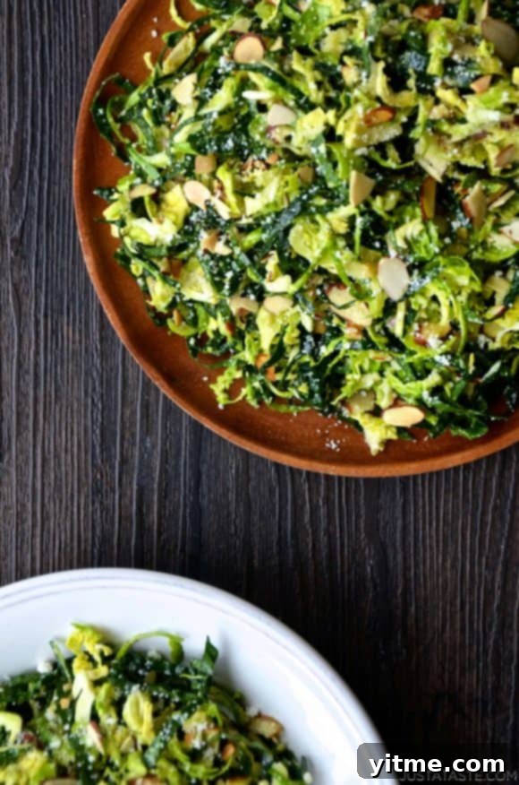 Fresh and Vibrant Kale: A Seasonal Delight