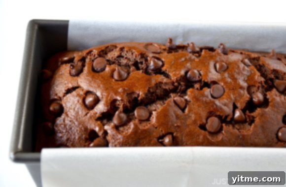 Chocolate Banana Bread Recipe
