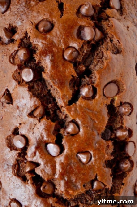 Chocolate Banana Bread Recipe