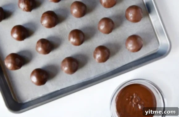 Thin Mint Cookie Truffles Recipe