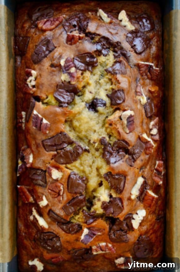 Greek Yogurt Banana Bread Bliss 3 A close-up, top-down view of banana bread made with nuts and chocolate chips