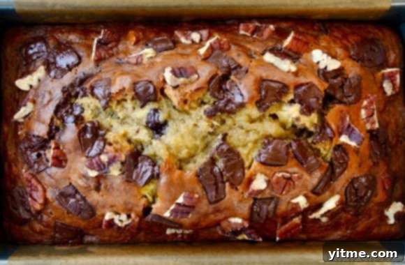 Greek Yogurt Banana Bread Bliss 6 A close-up view of banana bread made with Greek yogurt, pecans and chocolate chunks