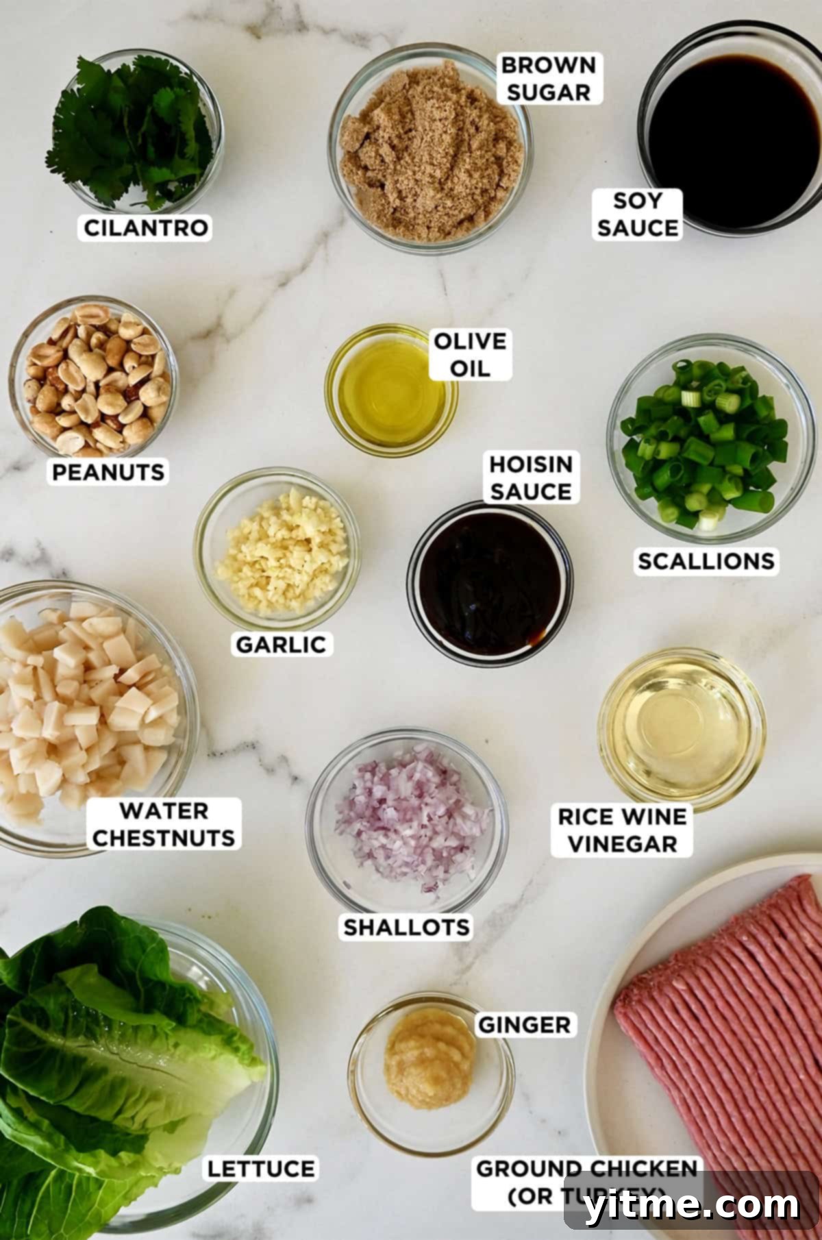 Ingredients for chicken lettuce wraps: ground chicken, romaine lettuce, water chestnuts, peanuts, green onions, hoisin sauce, rice wine vinegar, soy sauce, and ginger.