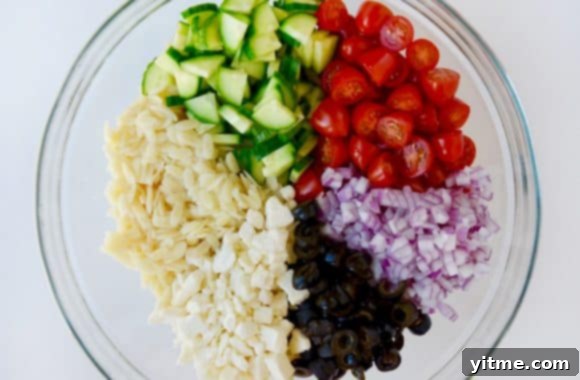 Greek Orzo Salad Recipe