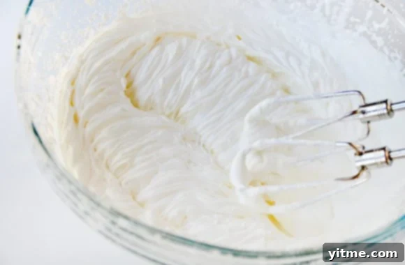 No-Churn Vanilla Ice Cream Recipe