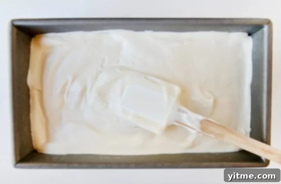 No-Churn Vanilla Ice Cream Recipe