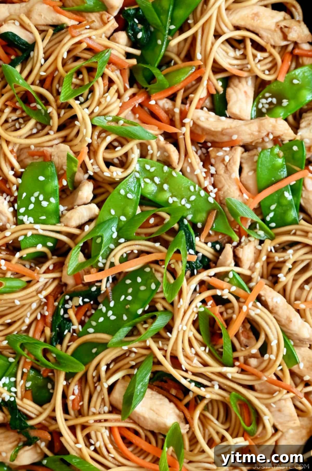 Chicken Lo Mein garnished with sesame seeds.