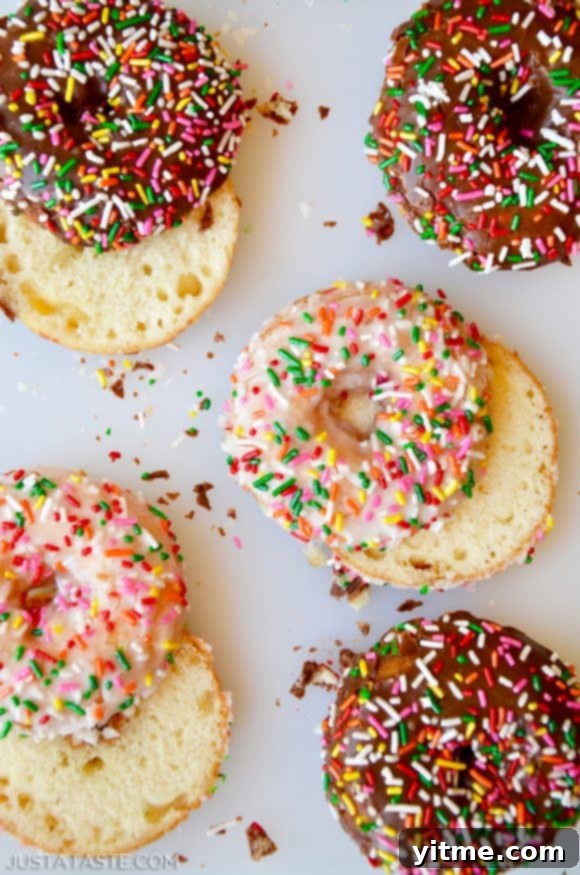 Doughnut Sundae Dreams 3 The Ultimate Doughnut Sundae Recipe