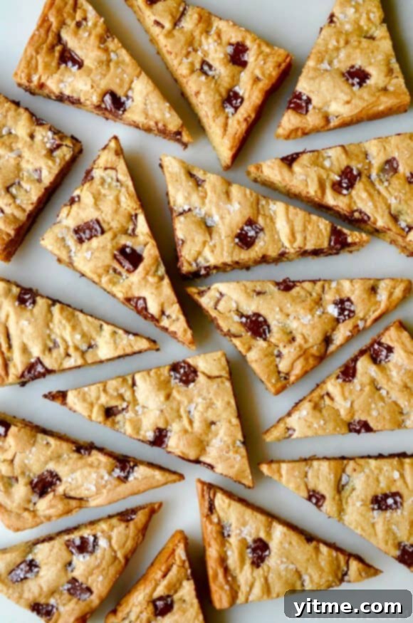 Salted Chocolate Chip Cookie Bars Recipe