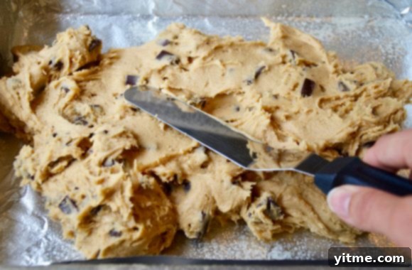 Salted Chocolate Chip Cookie Bars Recipe