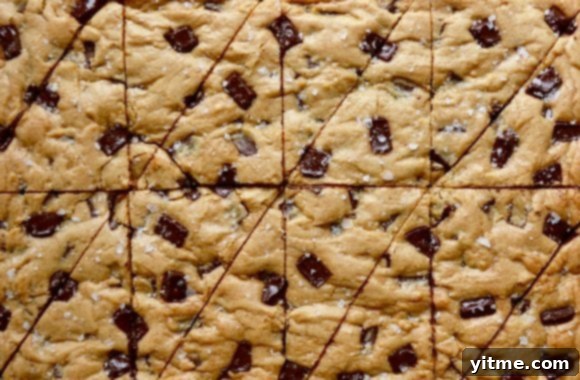 Salted Chocolate Chip Cookie Bars Recipe