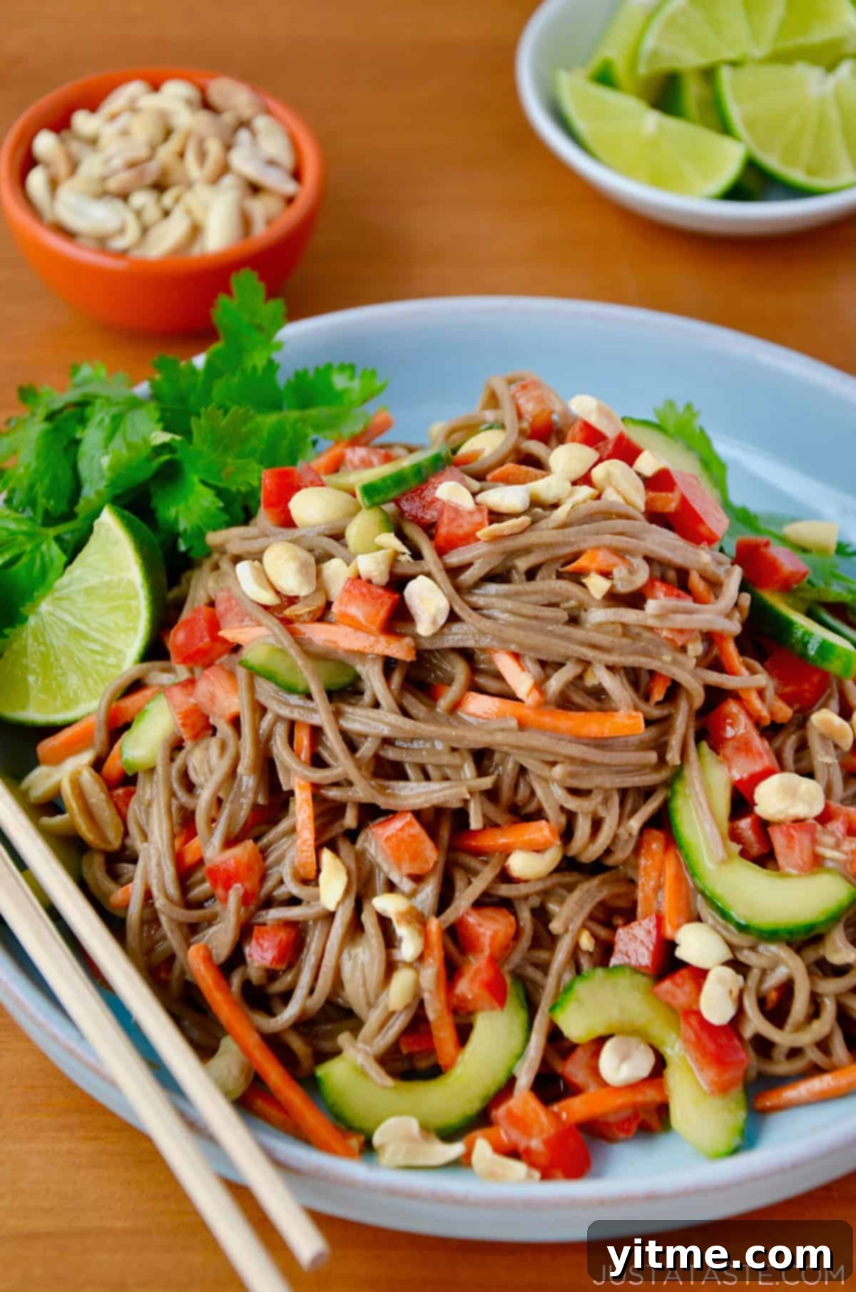 A beautifully presented Soba Noodle Salad with Peanut Dressing, loaded with fresh vegetables.