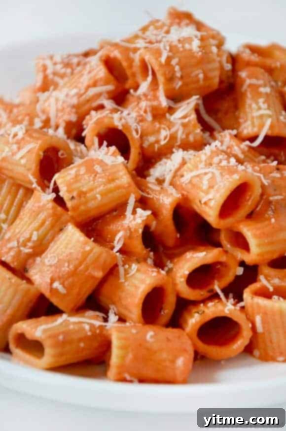 A close-up shot of vodka pasta with rigatoni noodles on a white plate