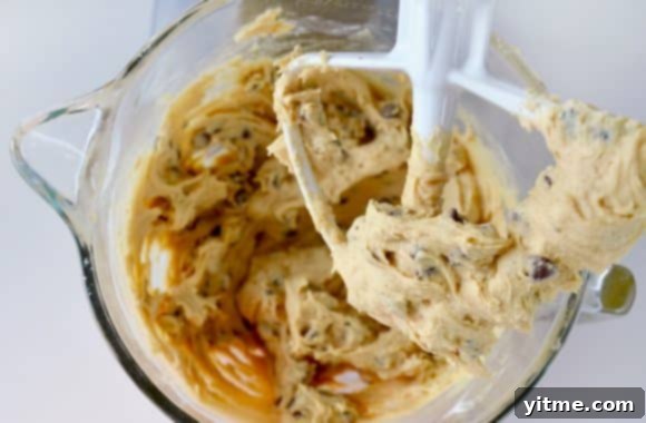 Chocolate chip cookie dough in a stand mixer