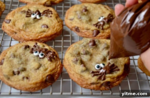 Piping chocolate spiders onto cookies