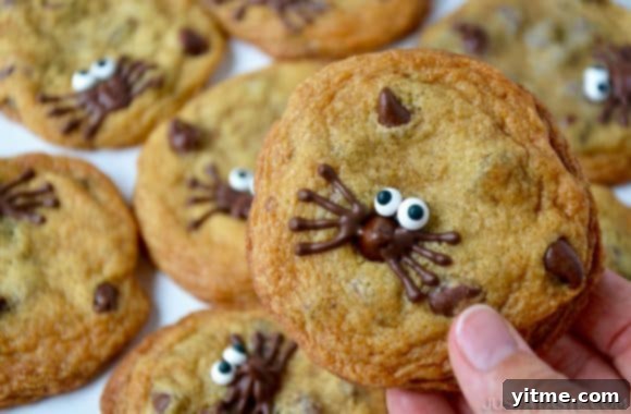 Holding a Spider Chocolate Chip Cookie with more cookies in the background