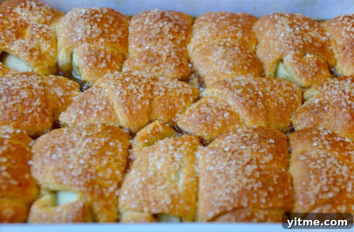 Apple Dumpling Delights: A Crescent Roll Twist 11 Golden brown crescent roll apple dumplings topped with sanding sugar.