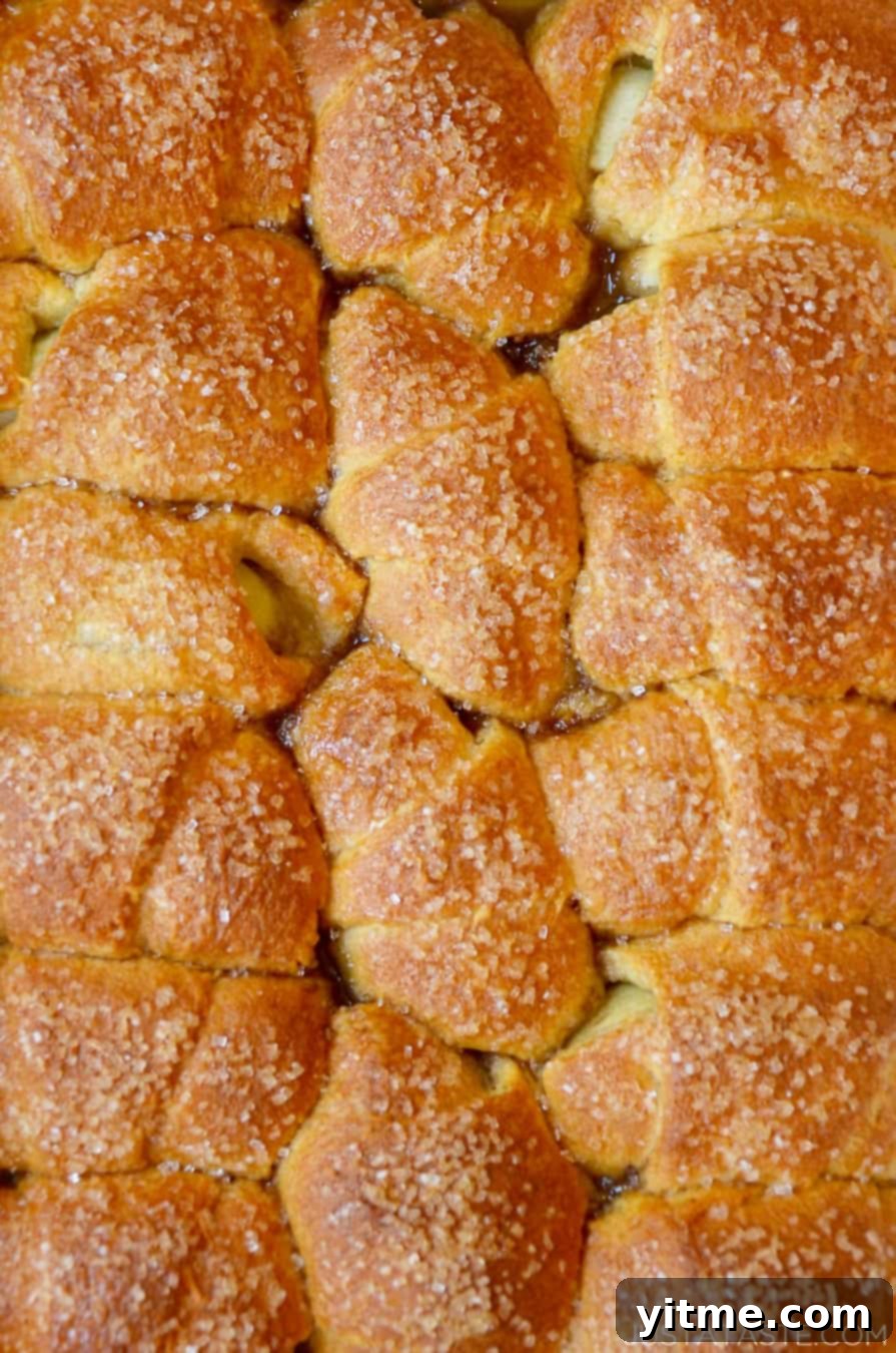 Apple Dumpling Delights: A Crescent Roll Twist 12 Apple dumplings made with refrigerated crescent rolls in a brown sugar caramel sauce and topped with sanding sugar.