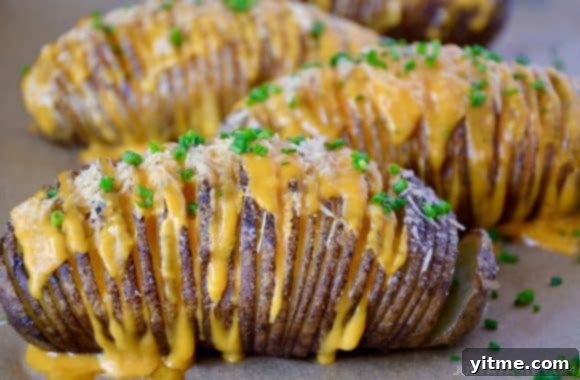 Perfectly baked Hasselback potatoes filled with melted cheese and sprinkled with fresh chives on a baking sheet.