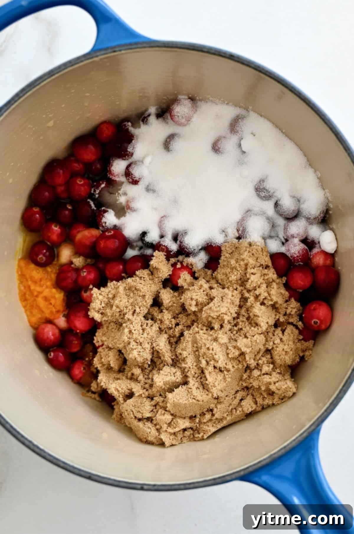 Cranberries, orange juice and zest, white sugar, and brown sugar in a saucepan before being reduced into cranberry sauce, illustrating the starting ingredients.