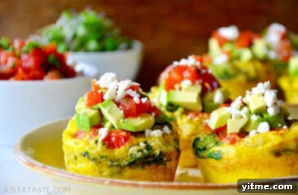 A plate featuring several Healthy Breakfast Egg Muffins, beautifully garnished with fresh avocado slices, salsa, and a sprinkle of cheese.