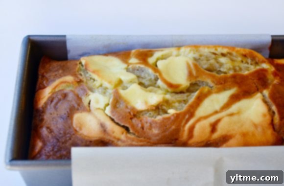A golden-brown loaf of Cream Cheese Banana Bread, freshly baked in a loaf pan lined with parchment paper, revealing its moist texture.