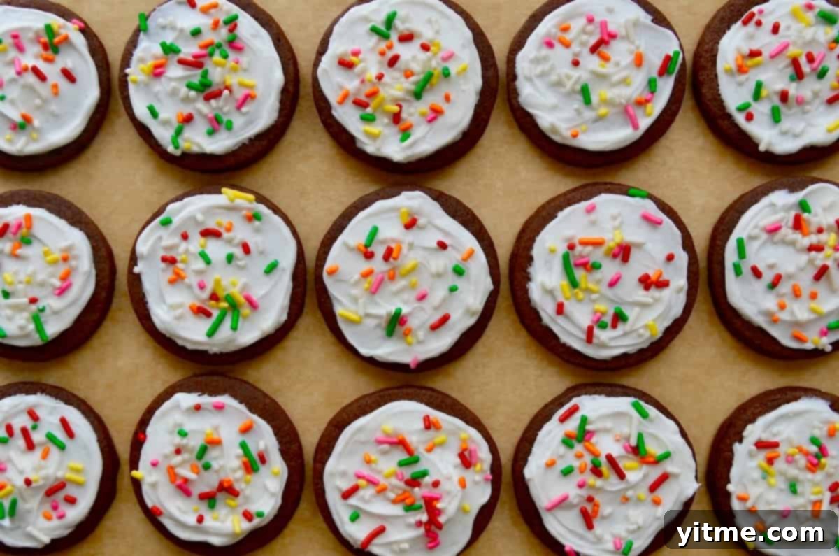Chocolate sugar cookies topped with buttercream frosting and rainbow sprinkles