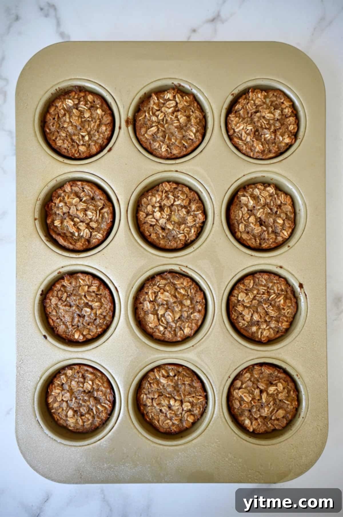Freshly baked oatmeal in a muffin pan.