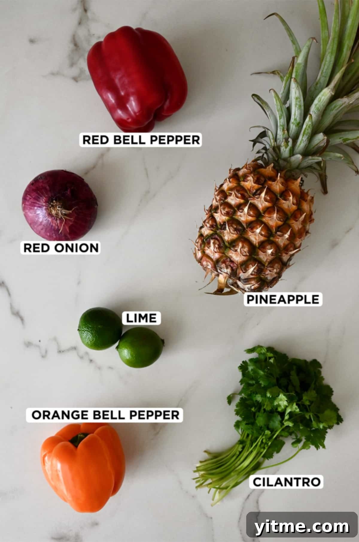 A comprehensive top-down shot of all the fresh ingredients needed to prepare pineapple salsa: red bell pepper, juicy pineapple, fragrant cilantro, orange bell pepper, fresh limes, and vibrant red onion.
