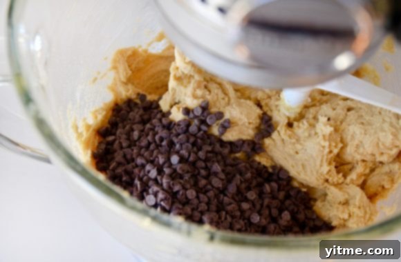 Muffin Tin Chocolate Chip Cookie Treats 4 A close-up of a KitchenAid glass stand mixer bowl containing chocolate chip cookie dough