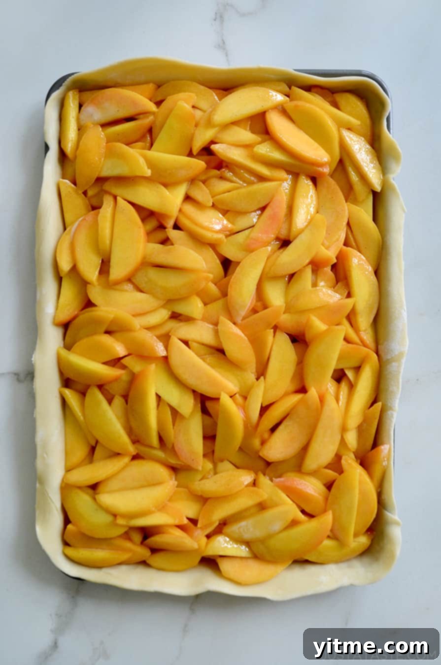 Top-down view of sliced peaches arranged inside a pie crust on a baking sheet