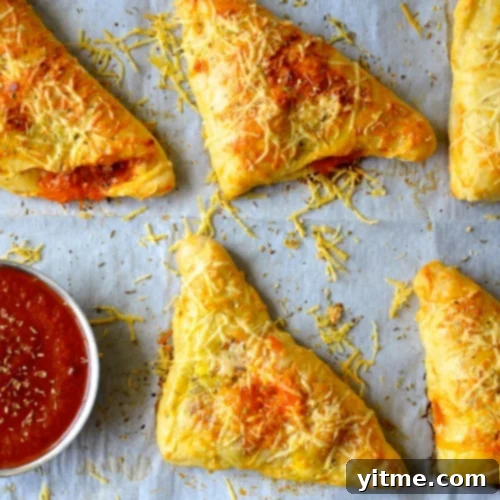 Fun and Healthy Food Creations for Kids 15 Cheesy Chicken Pizza Pockets