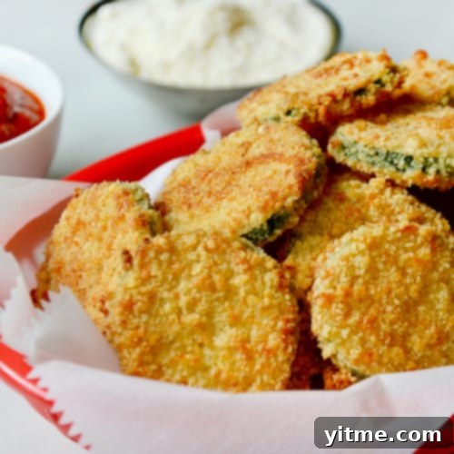 Fun and Healthy Food Creations for Kids 19 Baked Zucchini Chips