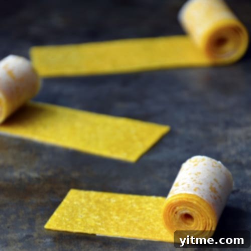 Fun and Healthy Food Creations for Kids 20 Healthy Homemade Mango Fruit Roll-Ups