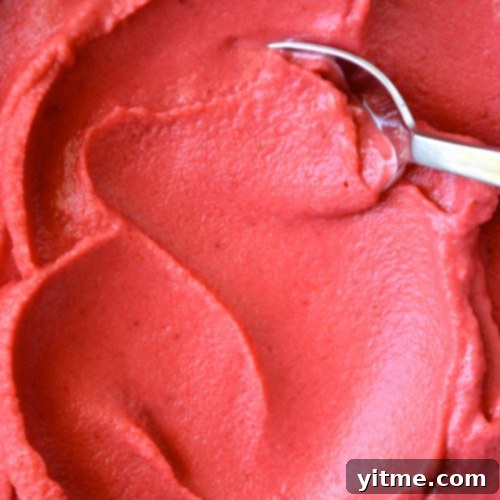 Fun and Healthy Food Creations for Kids 23 5-Minute Healthy Strawberry Frozen Yogurt