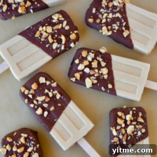 Fun and Healthy Food Creations for Kids 24 Peanut Butter Frozen Yogurt Pops