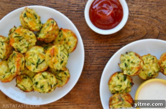 Fun and Healthy Food Creations for Kids 5 Cheesy Baked Zucchini Tots on white serving plates with ketchup and Ranch dressing