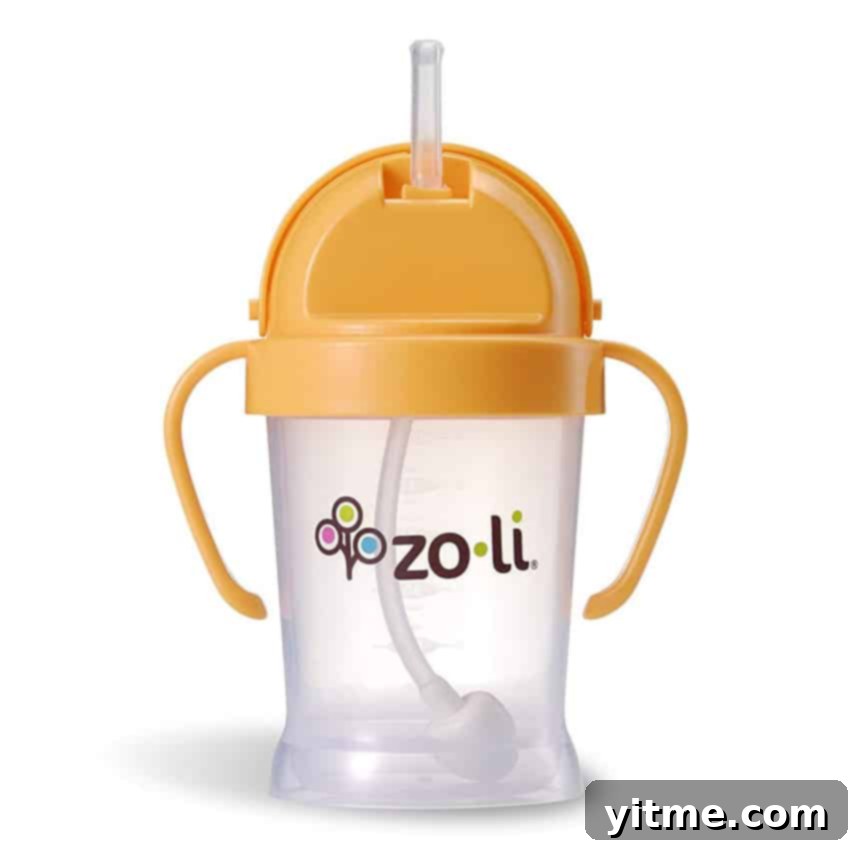 Fun and Healthy Food Creations for Kids 6 ZoLi Sippy Cup with Weighted Straw