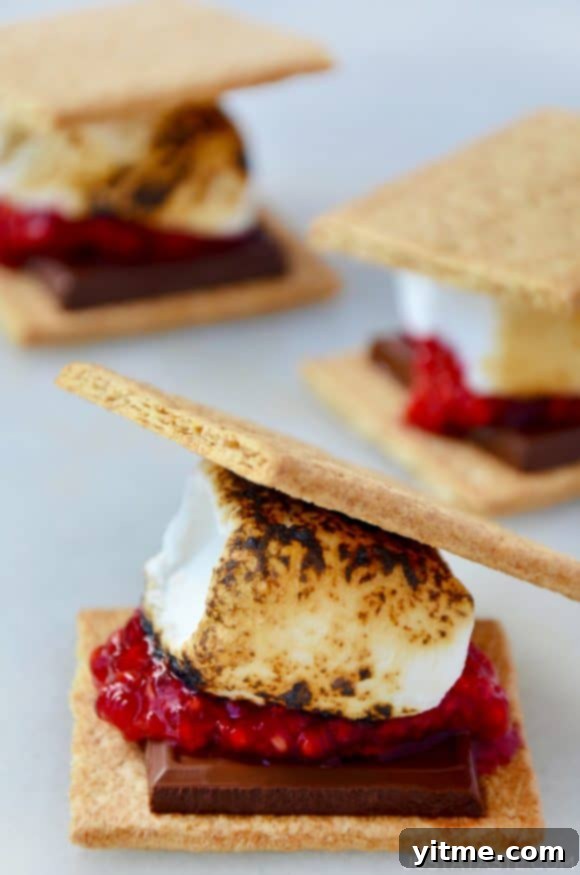 Close-up on s'mores sandwich with fresh raspberries
