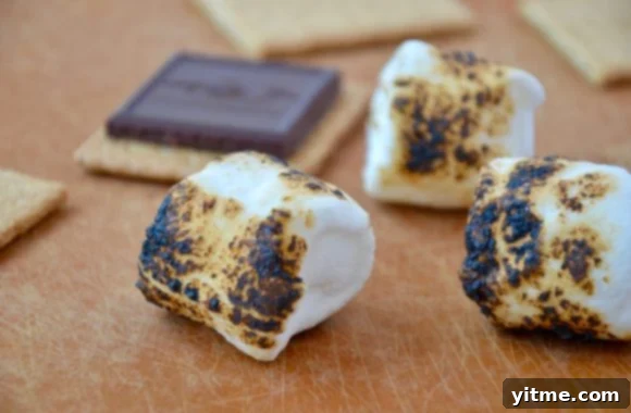 Toasted marshmallows on a cutting board