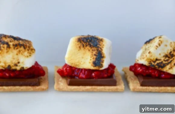 Three toasted marshmallows on graham crackers with fresh raspberries