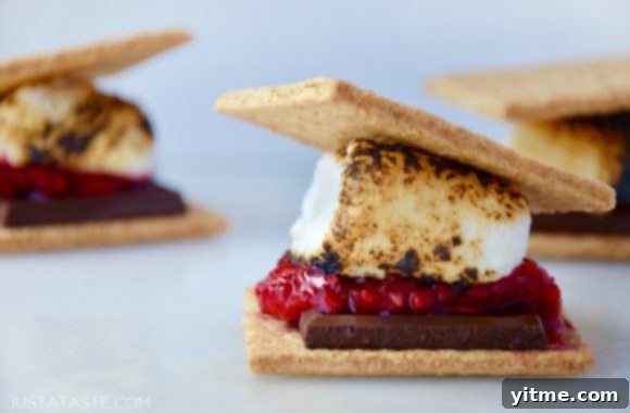Raspberry s'mores with graham crackers and chocolate
