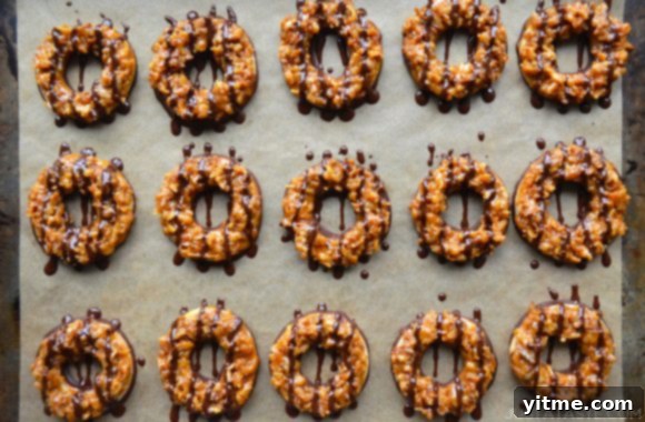 A baking sheet filled with rows of perfectly arranged homemade Samoas Girl Scout cookies, each drizzled with decadent chocolate. A delicious recreation of a beloved classic.
