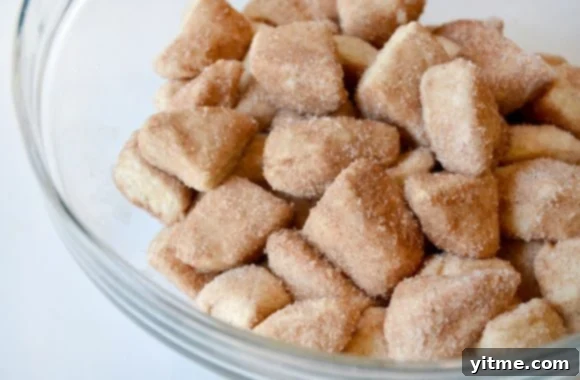 Monkey bread biscuit pieces coated in cinnamon-sugar 