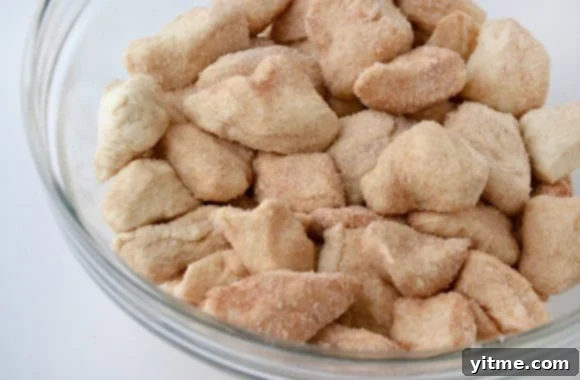 Biscuit pieces covered in cinnamon and sugar