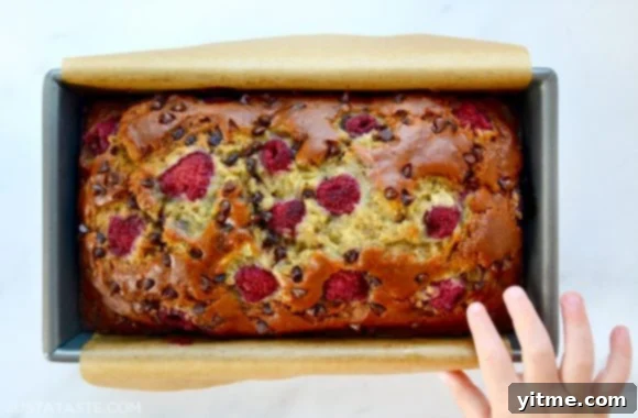A freshly baked loaf of Raspberry Chocolate Chip Banana Bread with a child's hand reaching for it, emphasizing the bread's irresistible appeal.