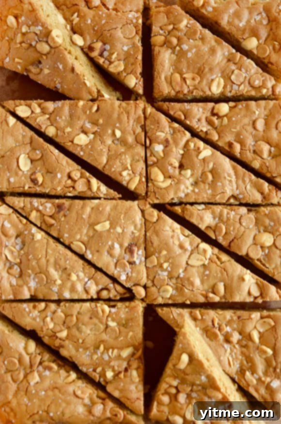 A top down view of Double Peanut Butter Blondies sliced into triangles, showcasing their chewy texture and peanut butter chip inclusions.