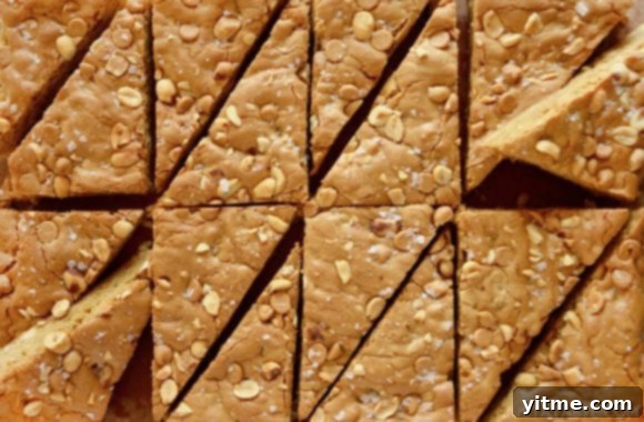 Double Peanut Butter Blondies beautifully sliced into triangles and arranged for serving, showcasing their appealing texture and golden-brown color.