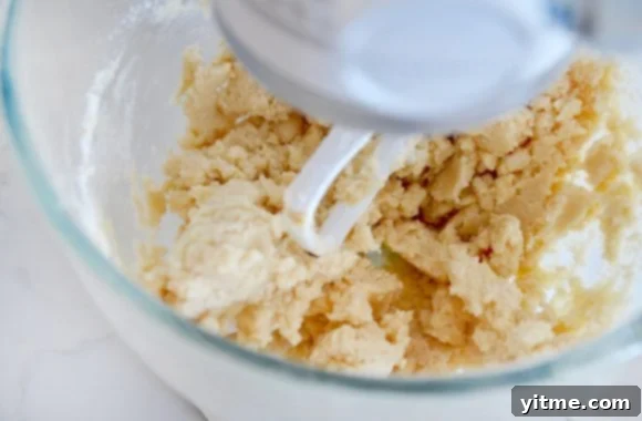 Samoa Dream Cake 5 Glass stand mixer bowl containing samoas cookie dough