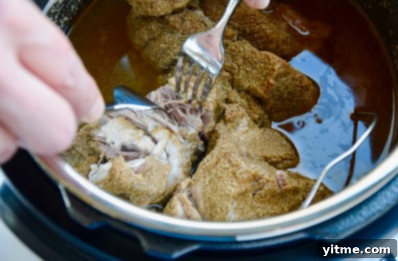 Fork-Tender Instant Pot BBQ Pulled Pork 3 Two hands holding forks shredding cooked pork in an Instant Pot